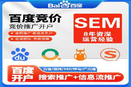 SEM推广实战：成功案例剖析
